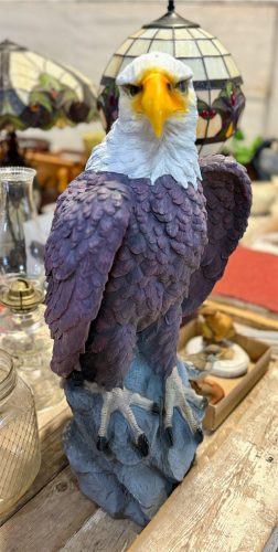 IMG_4965
